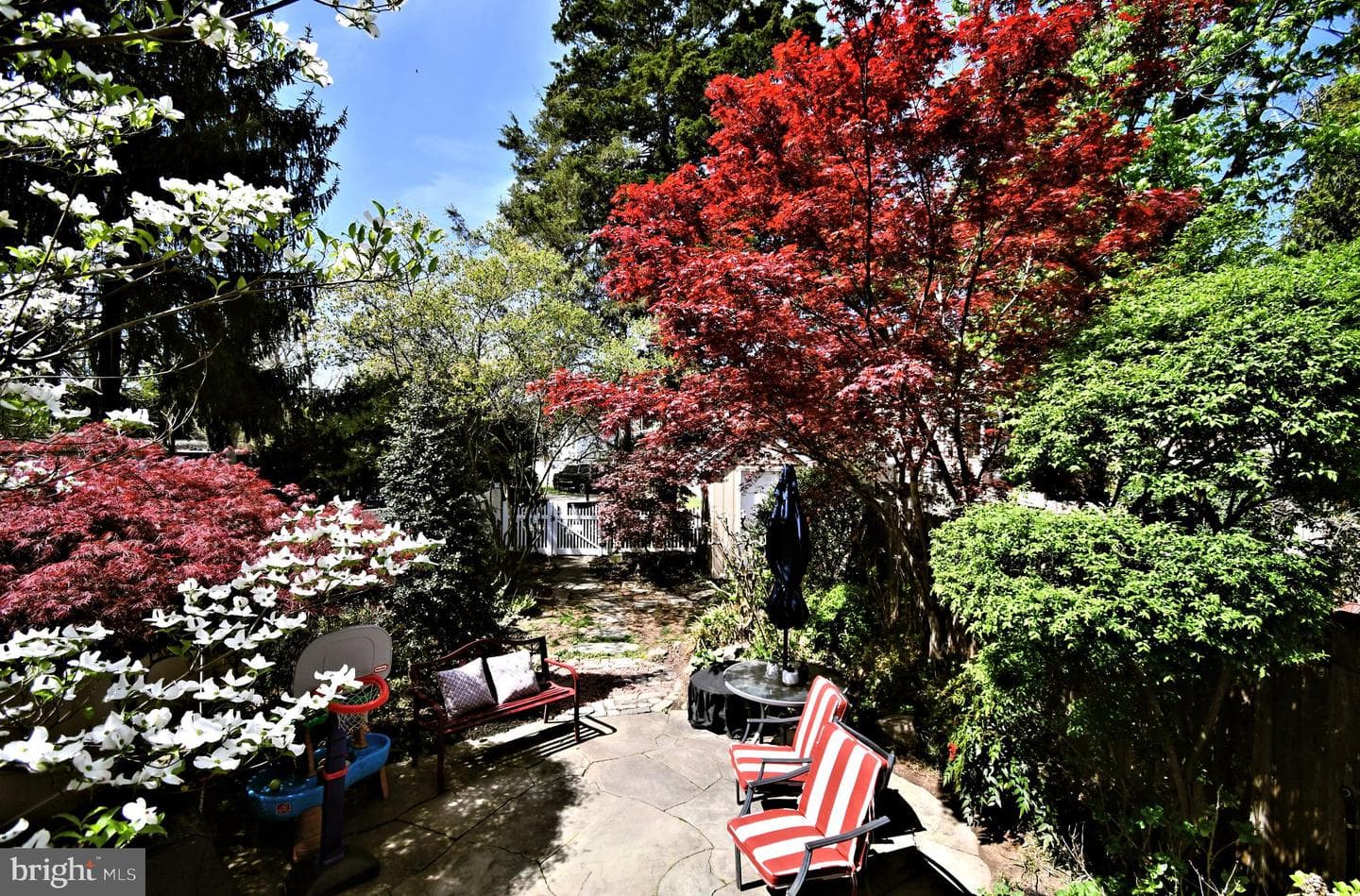 5 Ambler Road photo 33