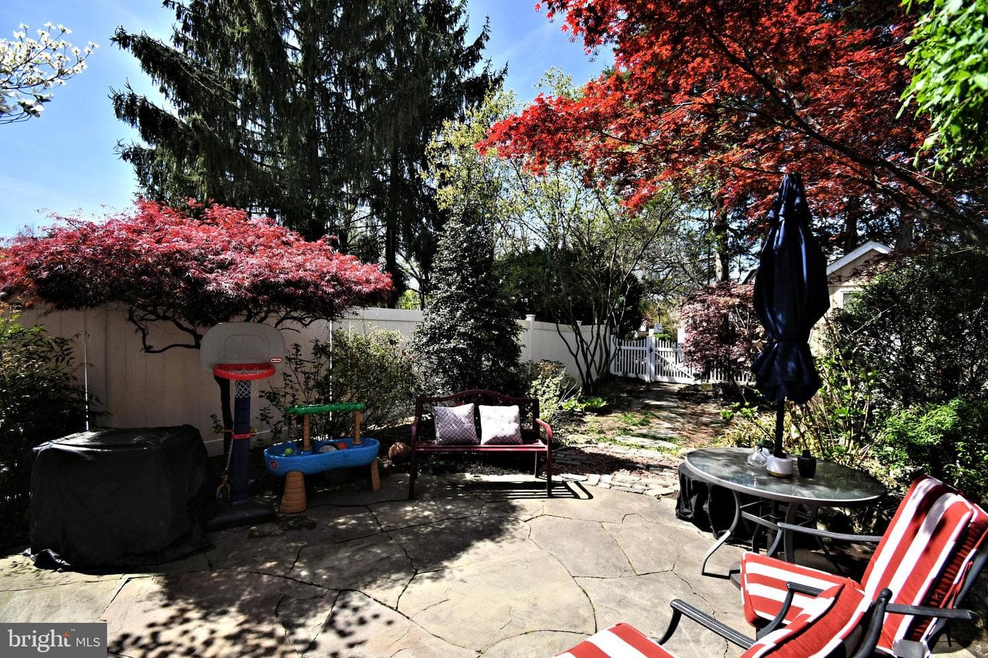 5 Ambler Road photo 35