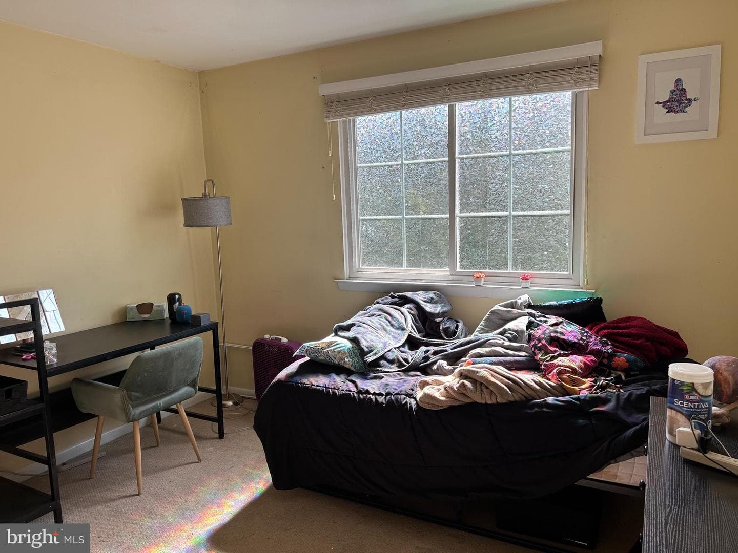 721 Springhouse Court photo 23