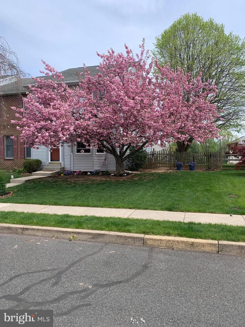177 Winding Way photo 2