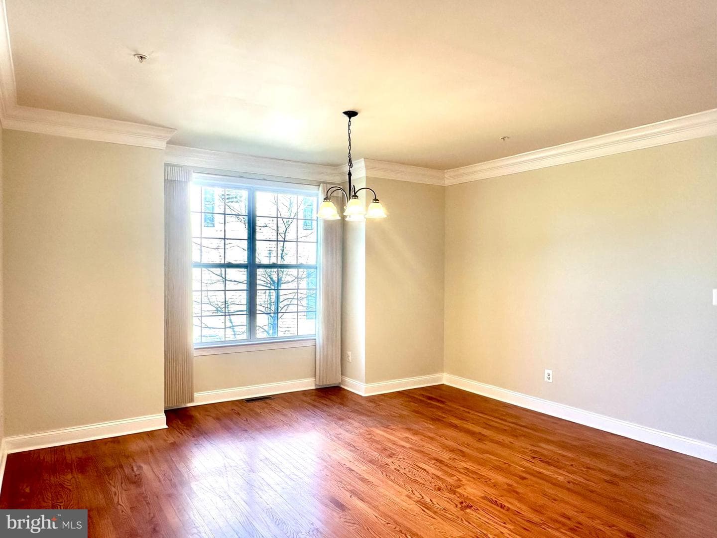 116 High Point Avenue photo 4