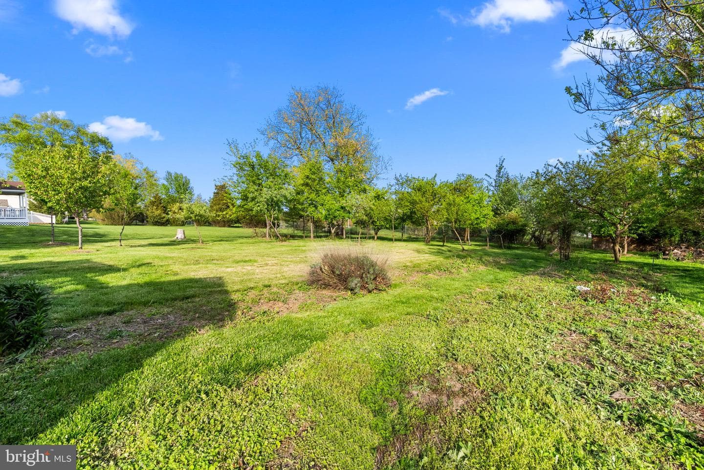 2920 Whitehall Road photo 38