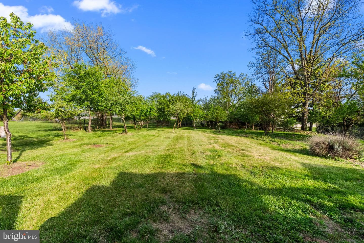 2920 Whitehall Road photo 39