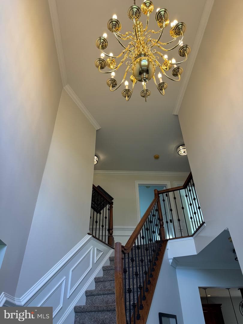 8 Buckley Circle photo 22