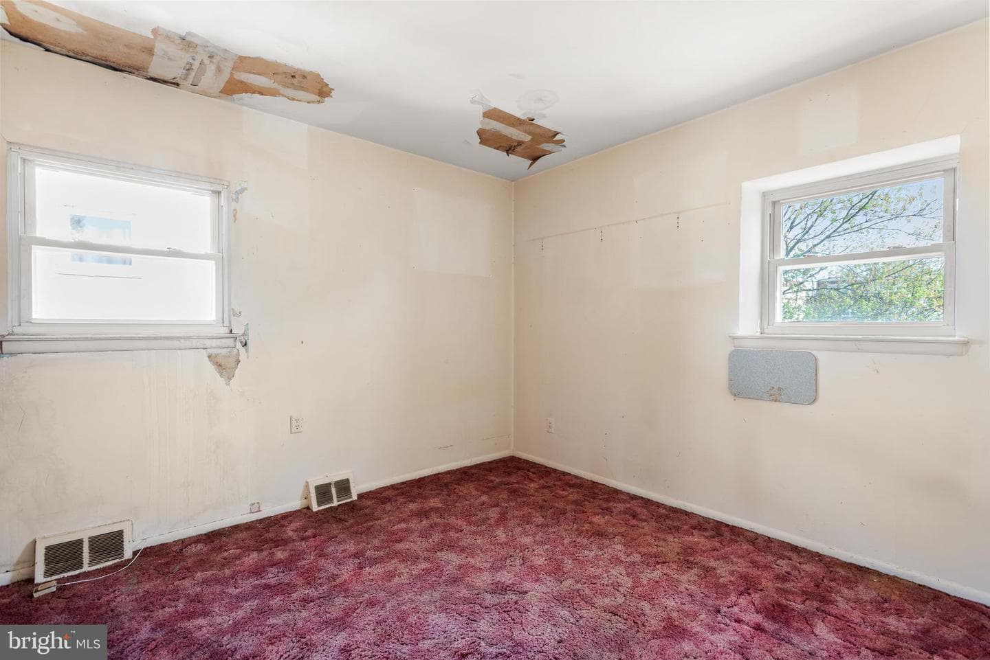 503 Norma Lane photo 7
