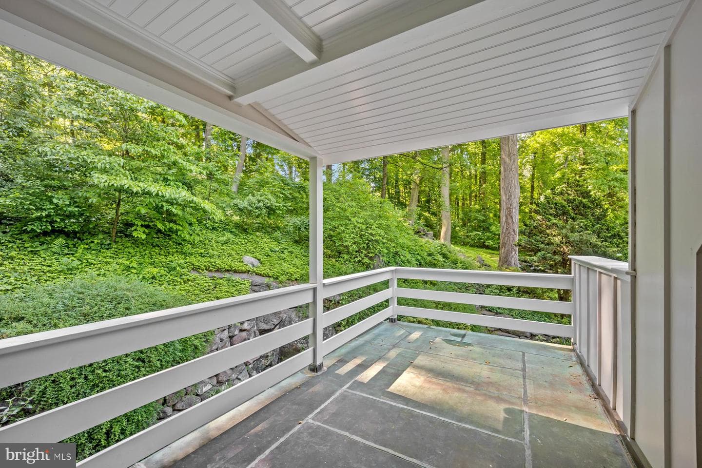 1650 Mount Pleasant Road photo 22