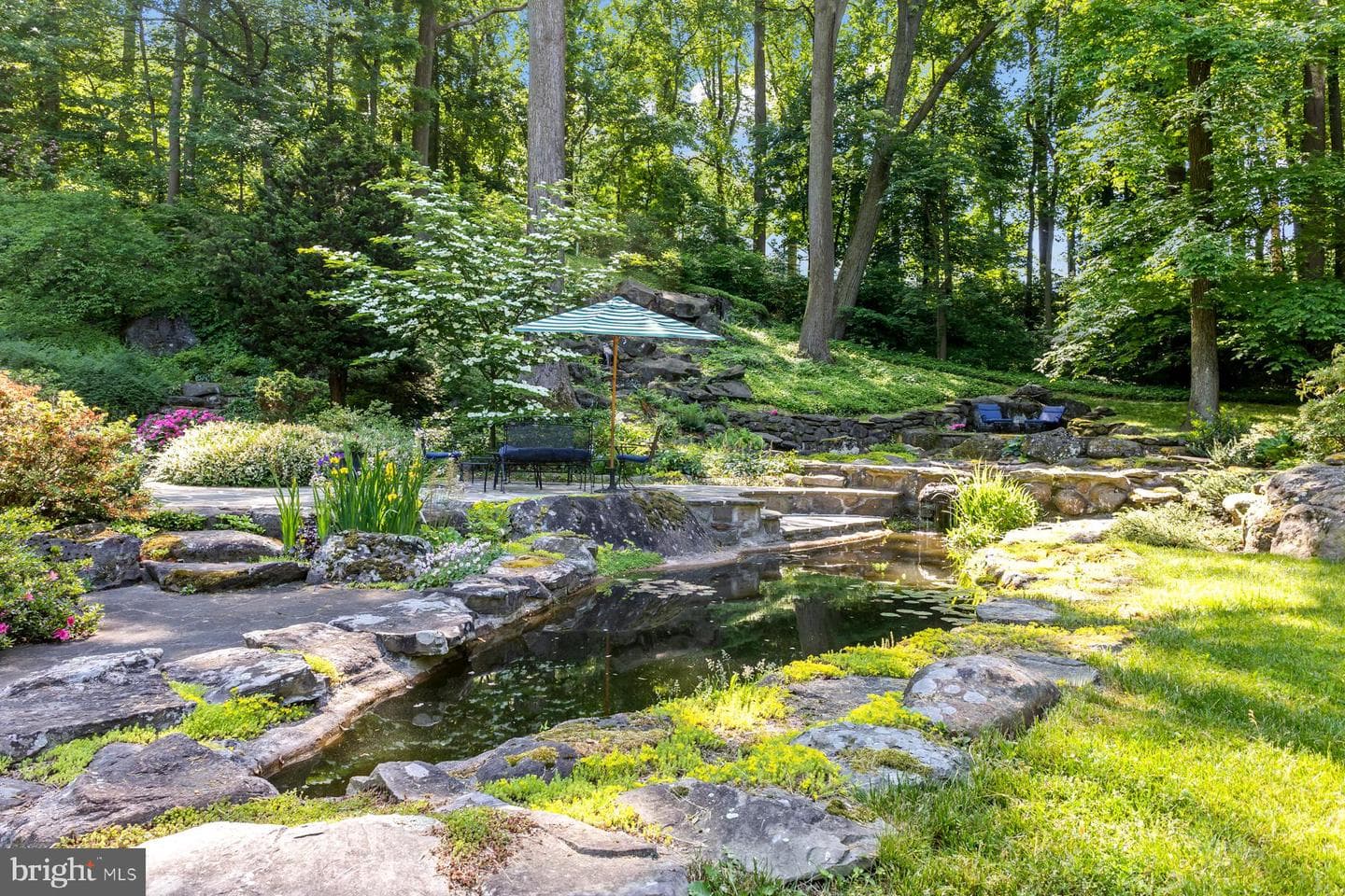 1650 Mount Pleasant Road photo 37