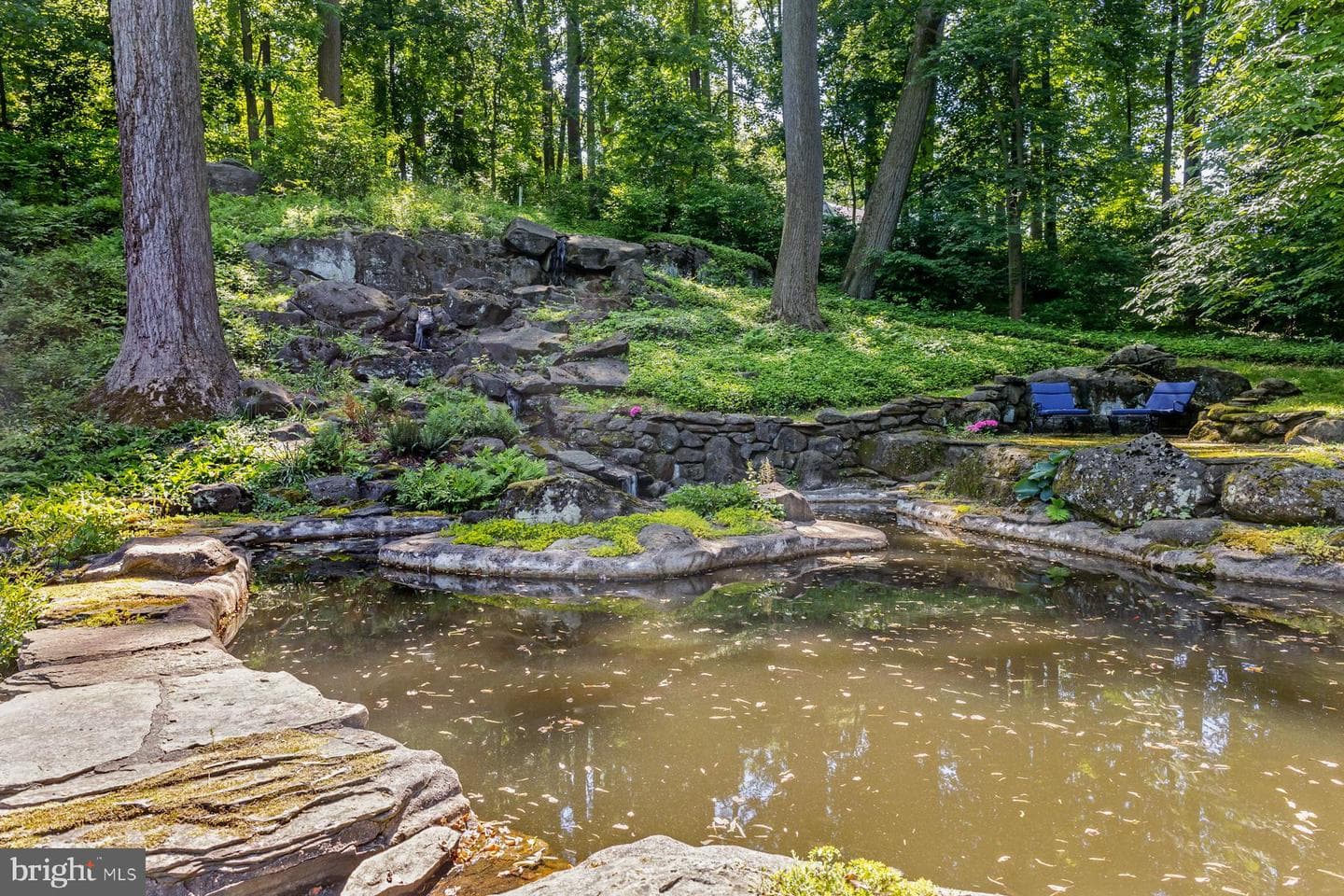 1650 Mount Pleasant Road photo 38