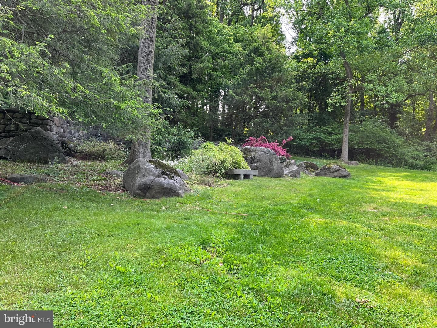 1650 Mount Pleasant Road photo 45