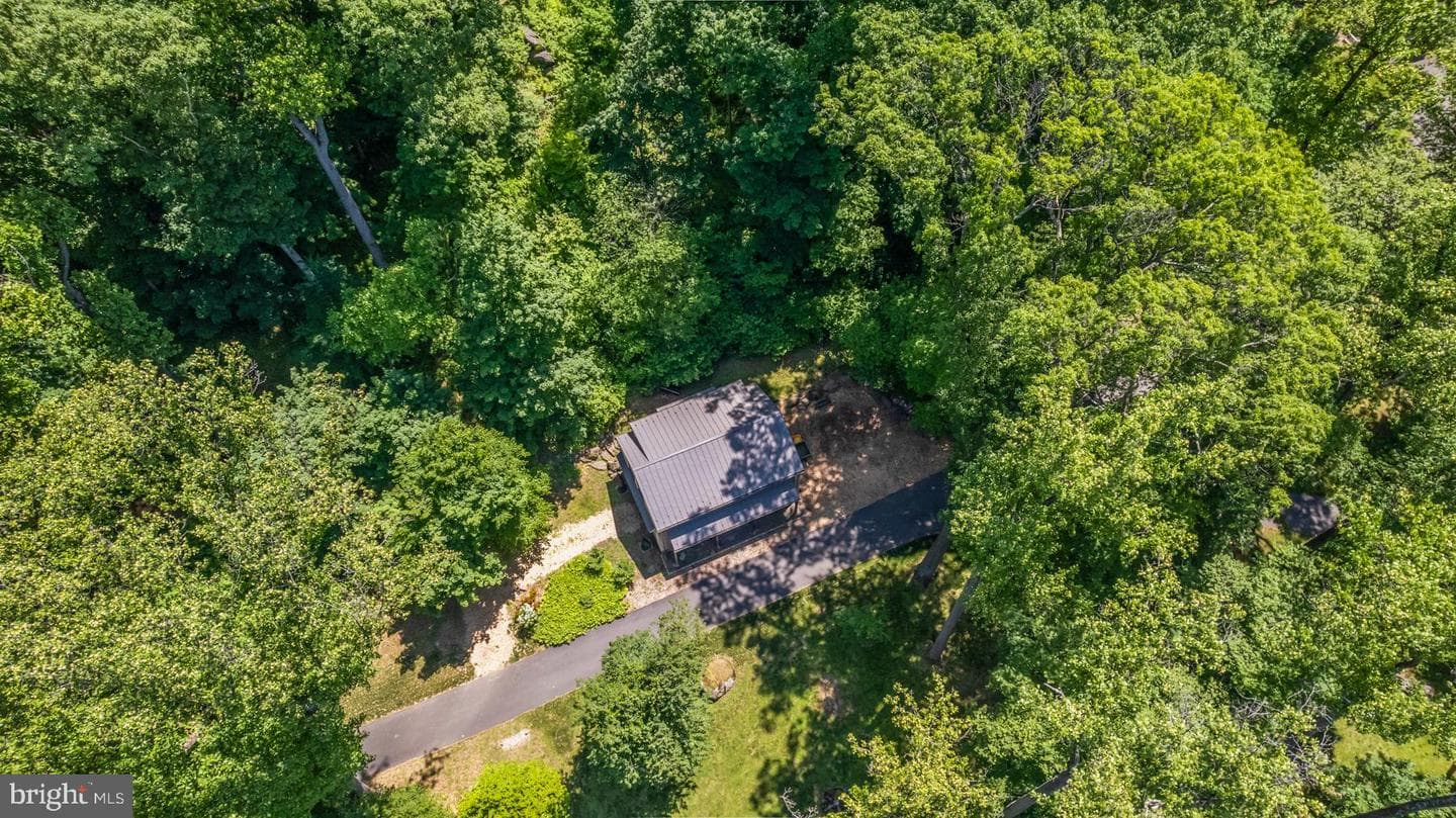 1650 Mount Pleasant Road photo 51