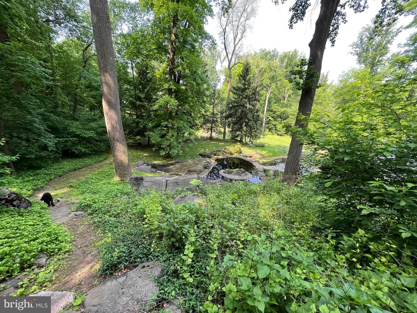 1650 Mount Pleasant Road photo 54
