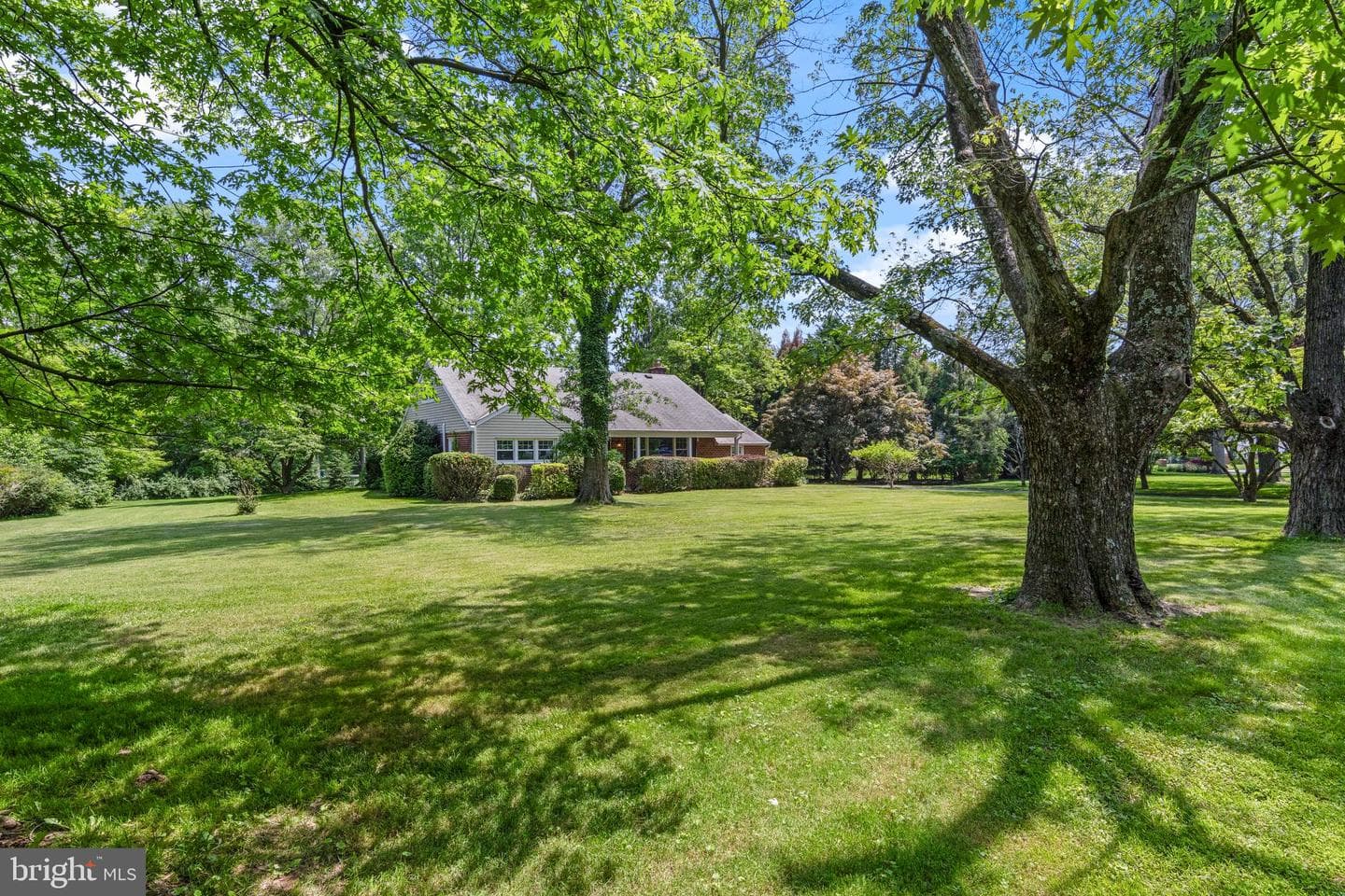 808 Judie Lane photo 42