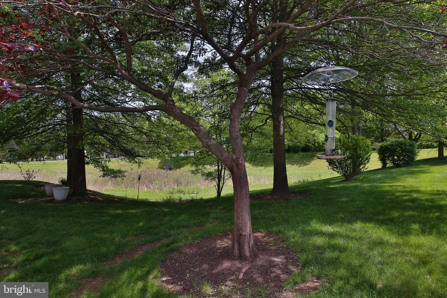 1505 Tarrington Way photo 31