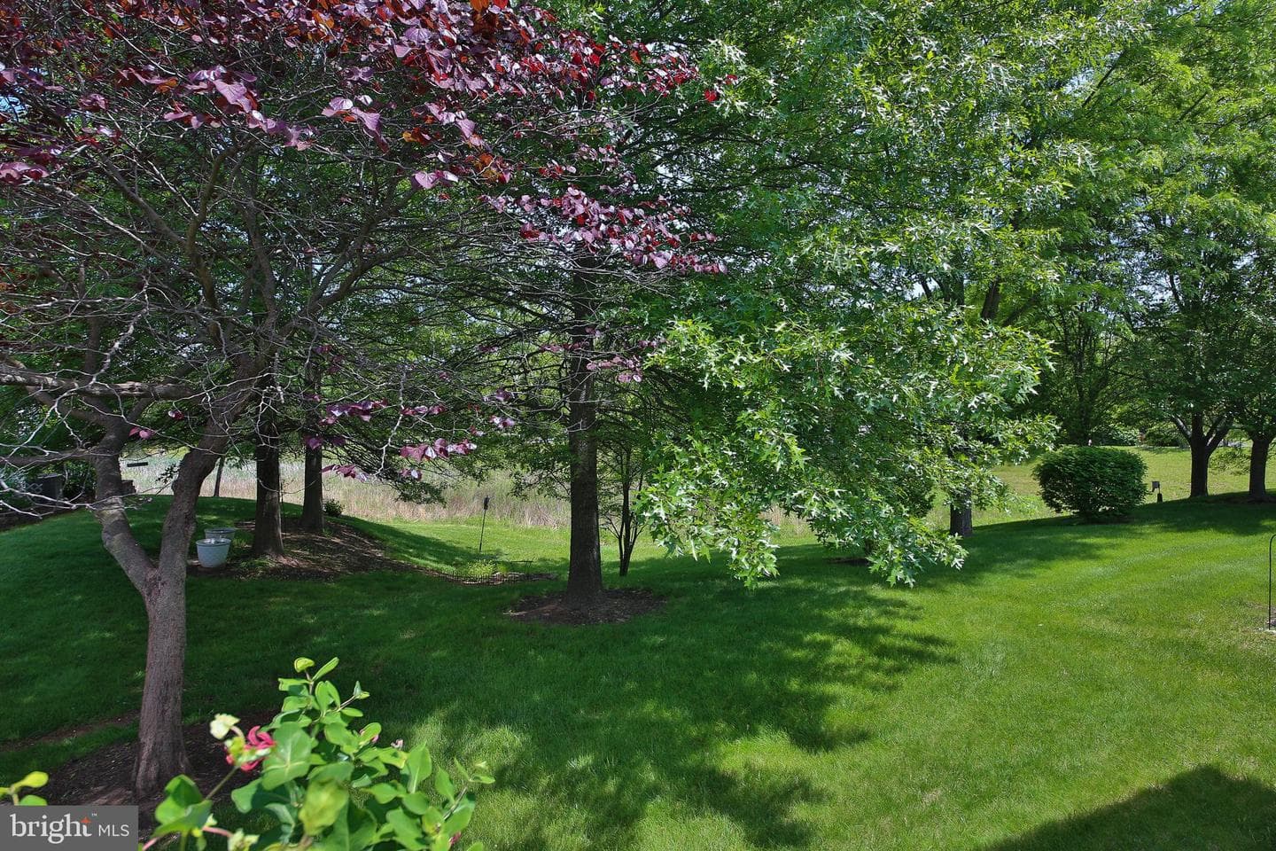1505 Tarrington Way photo 32