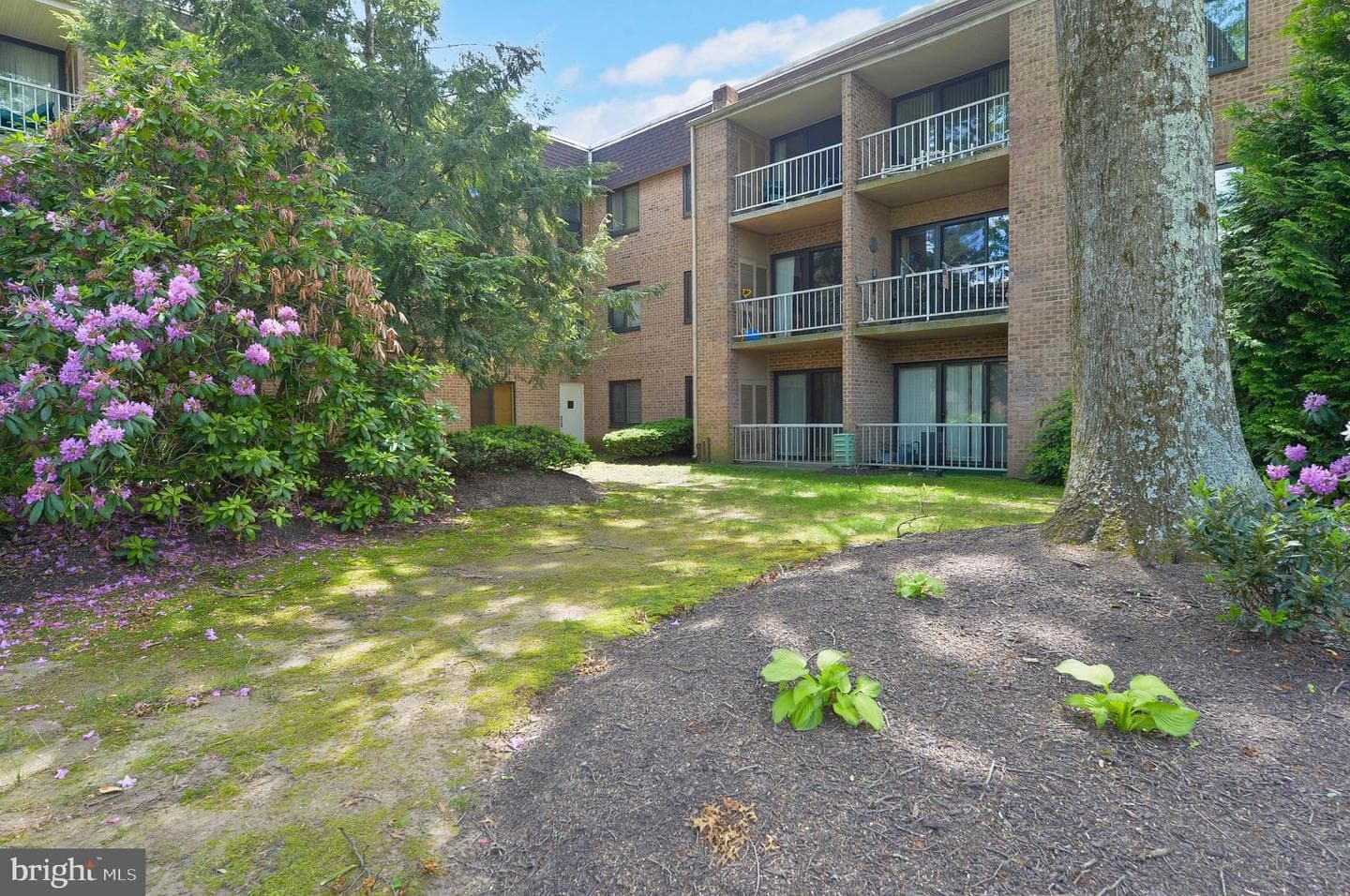 1650 Oakwood Drive #e108 photo 14