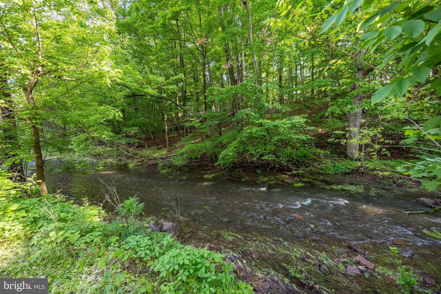992 E Valley Road photo 10