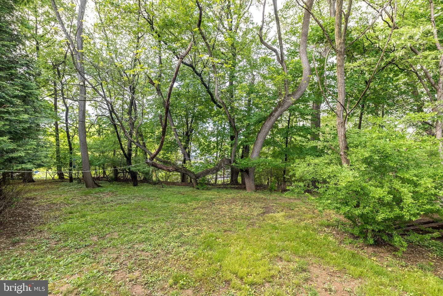250 Hill Avenue photo 52