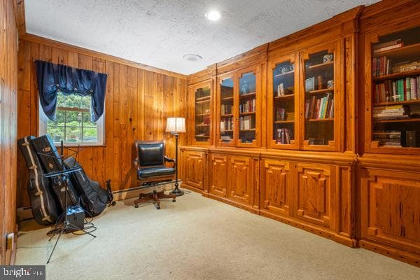 1711 Beaver Hollow photo 28
