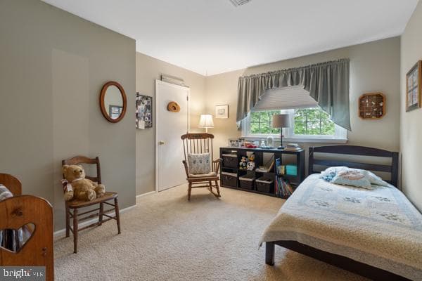 1711 Beaver Hollow photo 34