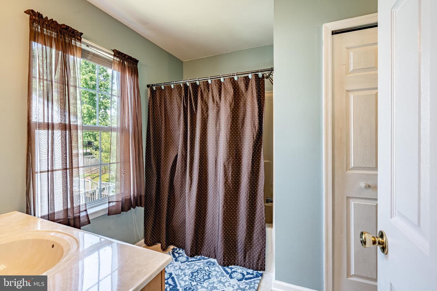 260 Shirley Lane photo 21