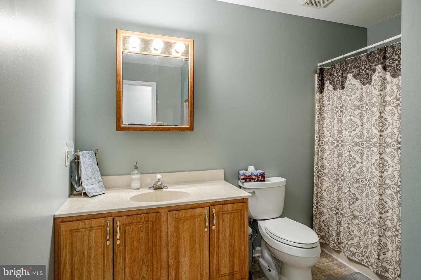 260 Shirley Lane photo 29