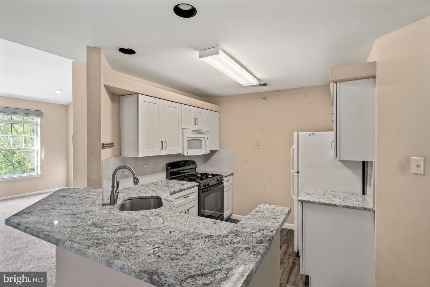 704 Dresher Woods Drive photo 8