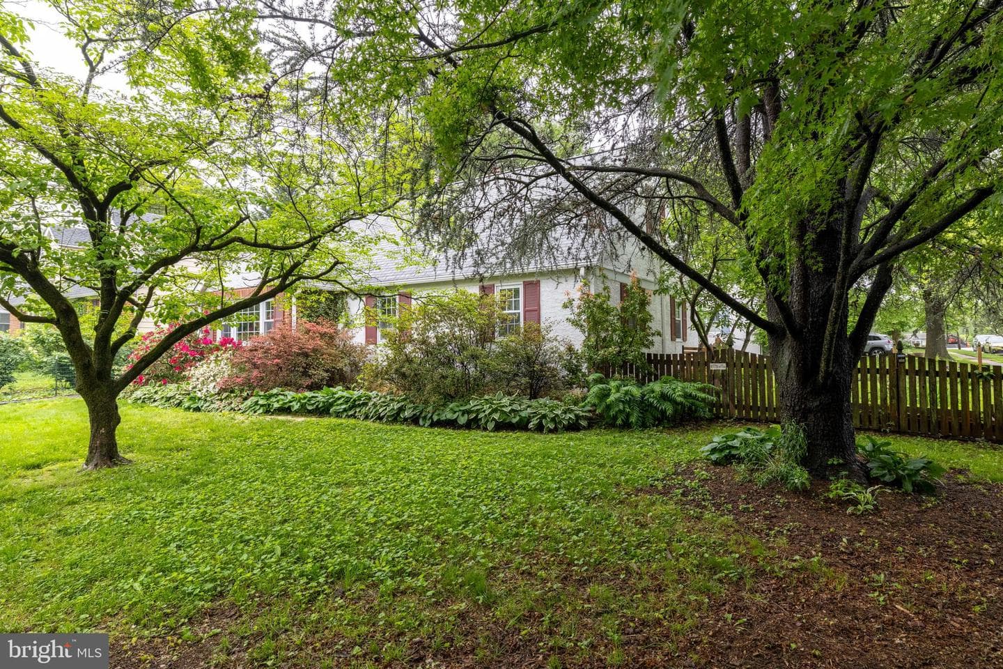 308 E Mount Pleasant Avenue photo 3