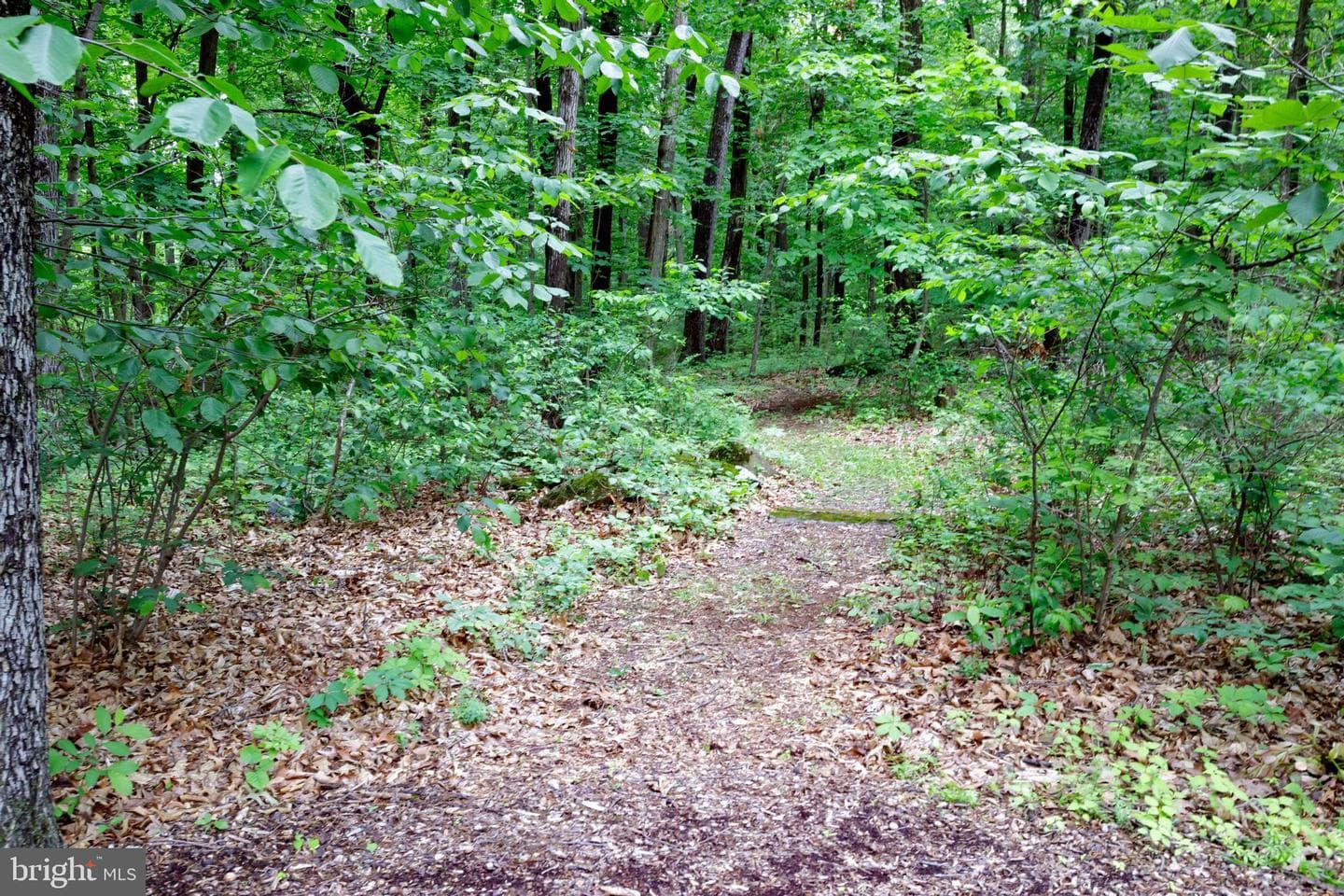2114 Yerger Road photo 27