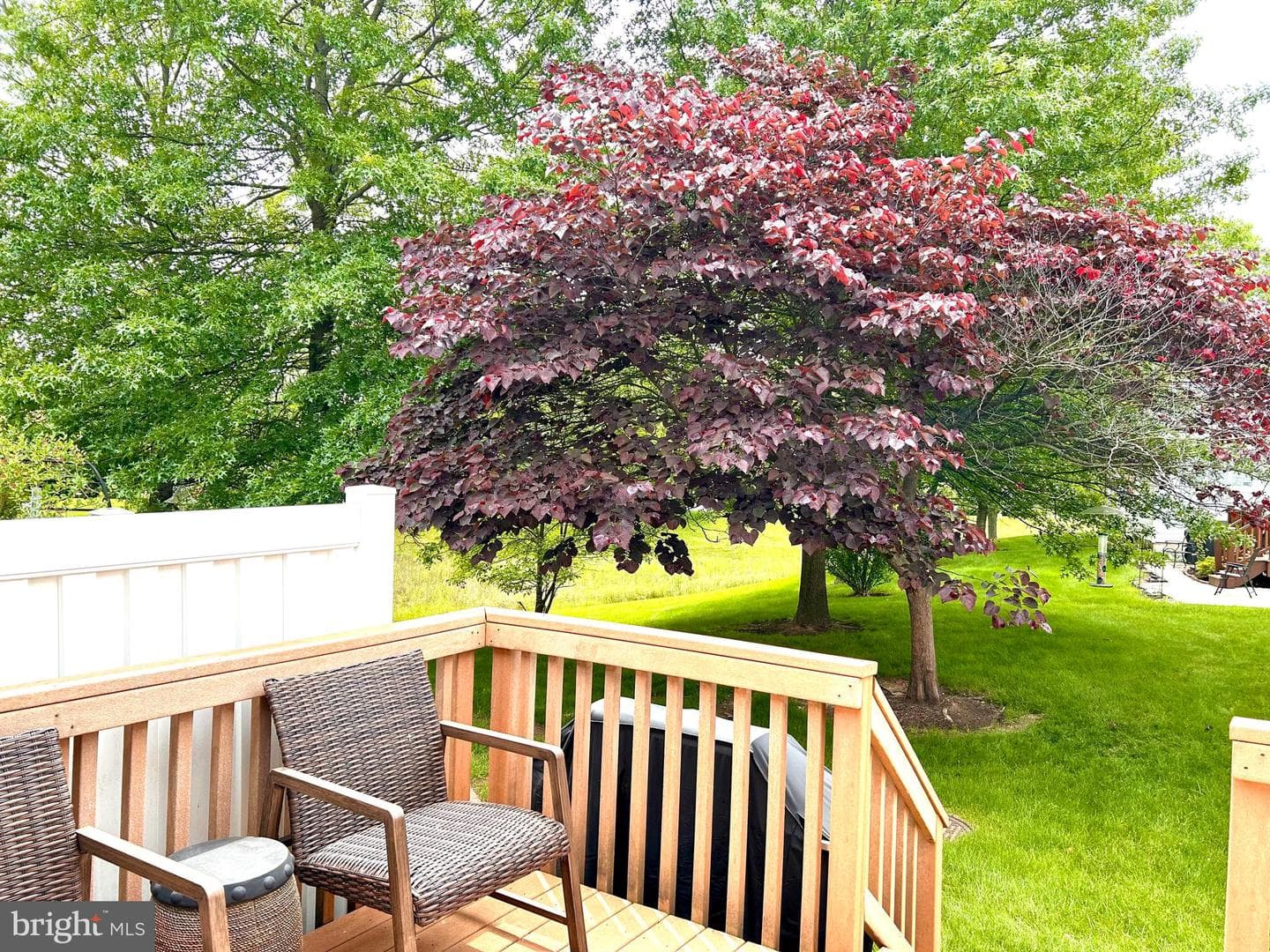 1511 Tarrington Way photo 35