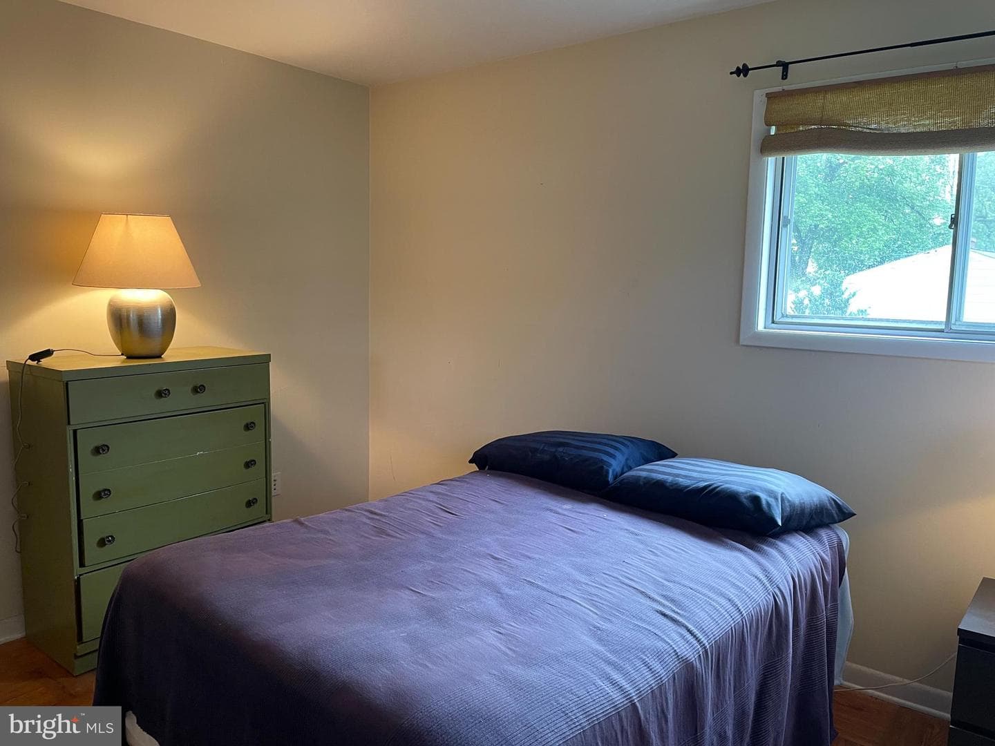 705 Burbridge Road photo 20