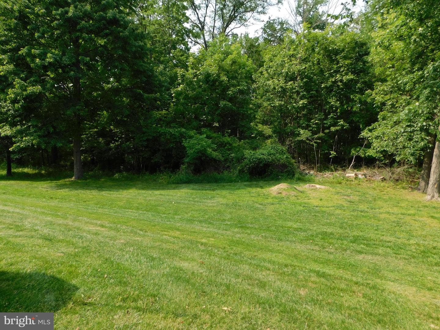 947 Dutch Drive photo 8