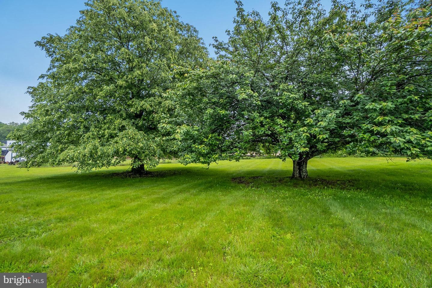 50 Pin Oak Drive photo 62