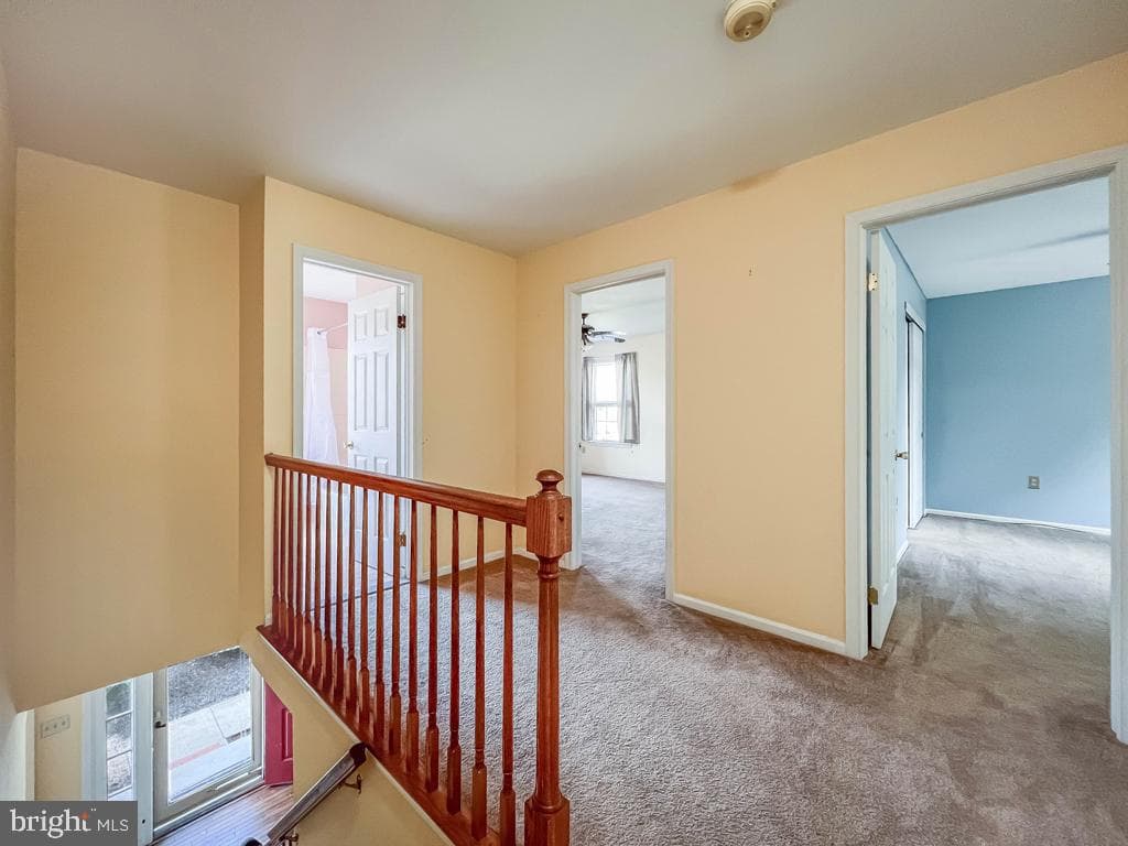 107 Horseshoe Lane photo 21