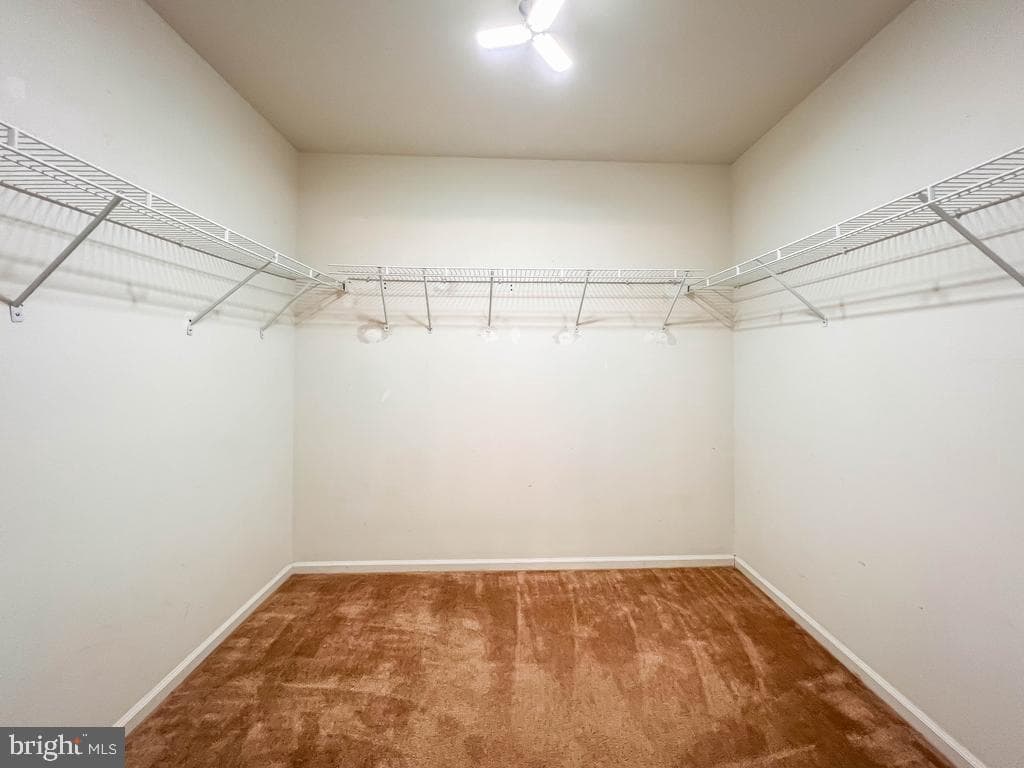 107 Horseshoe Lane photo 24