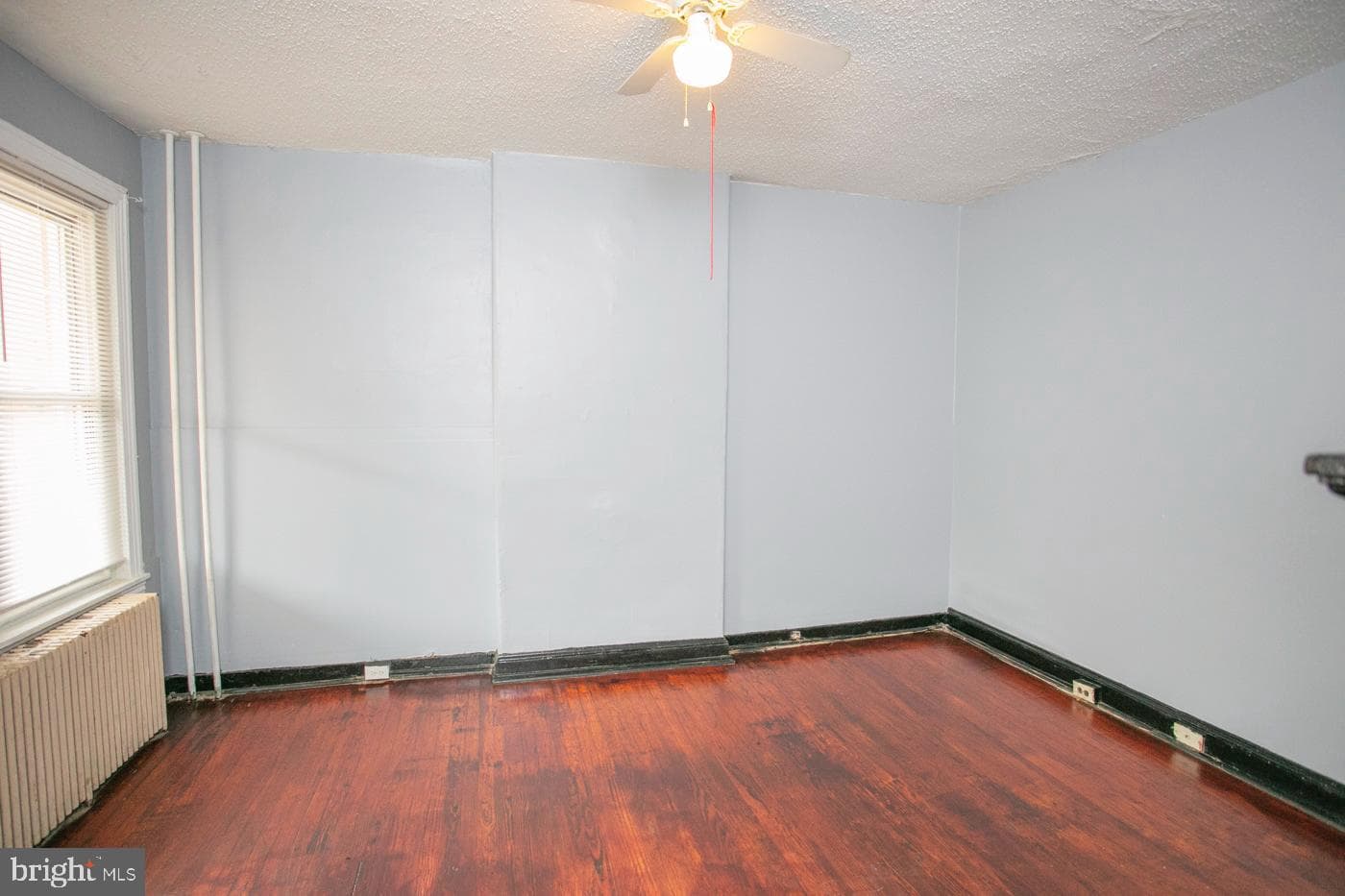 815 George Street photo 3