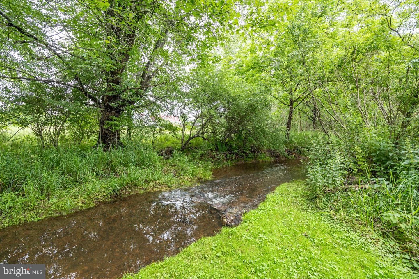 2459 Wagner Road photo 66