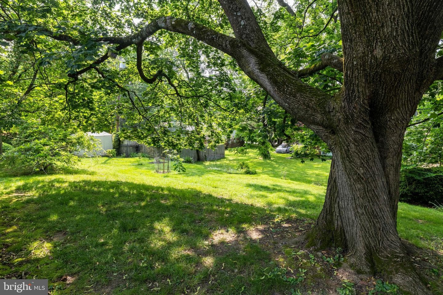 369 Beaver Hollow Road photo 38