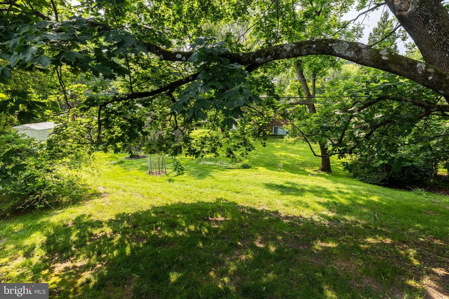 369 Beaver Hollow Road photo 39