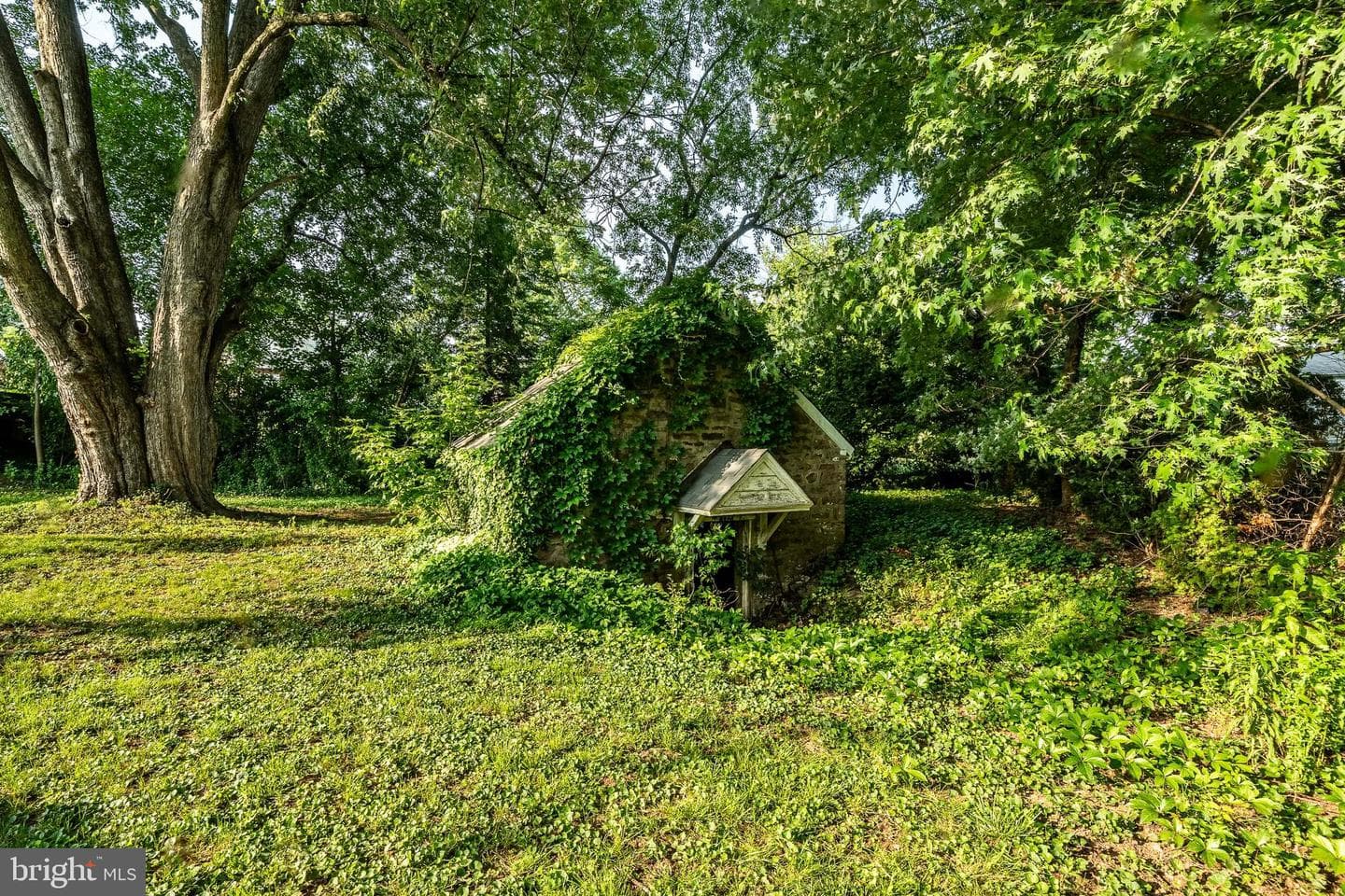 349 Brighton Road photo 67