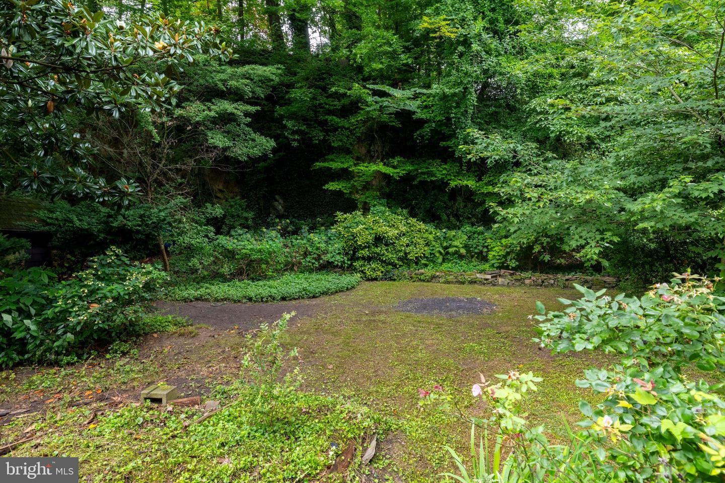110 Cliff Terrace photo 29