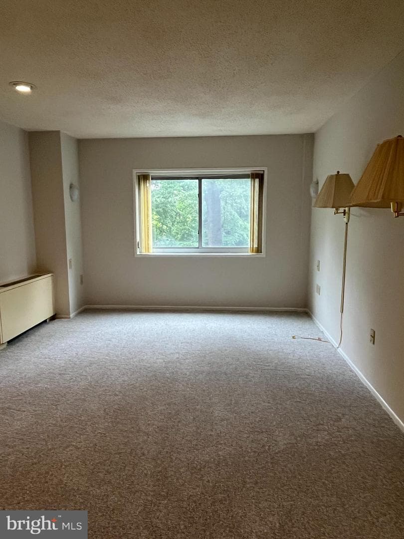 100 West Avenue #118s photo 17