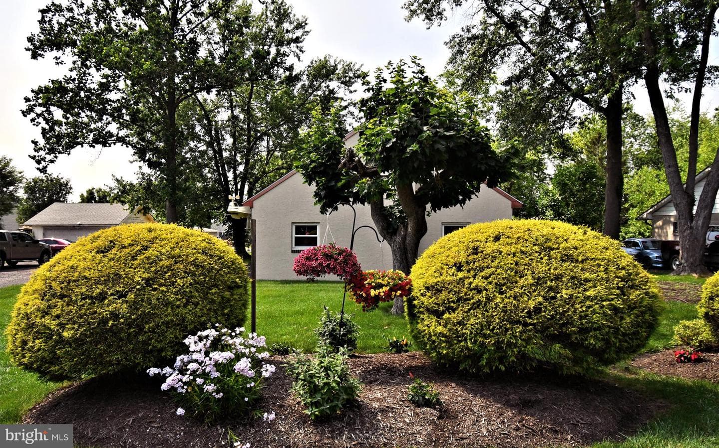 227 Ridge Avenue photo 108