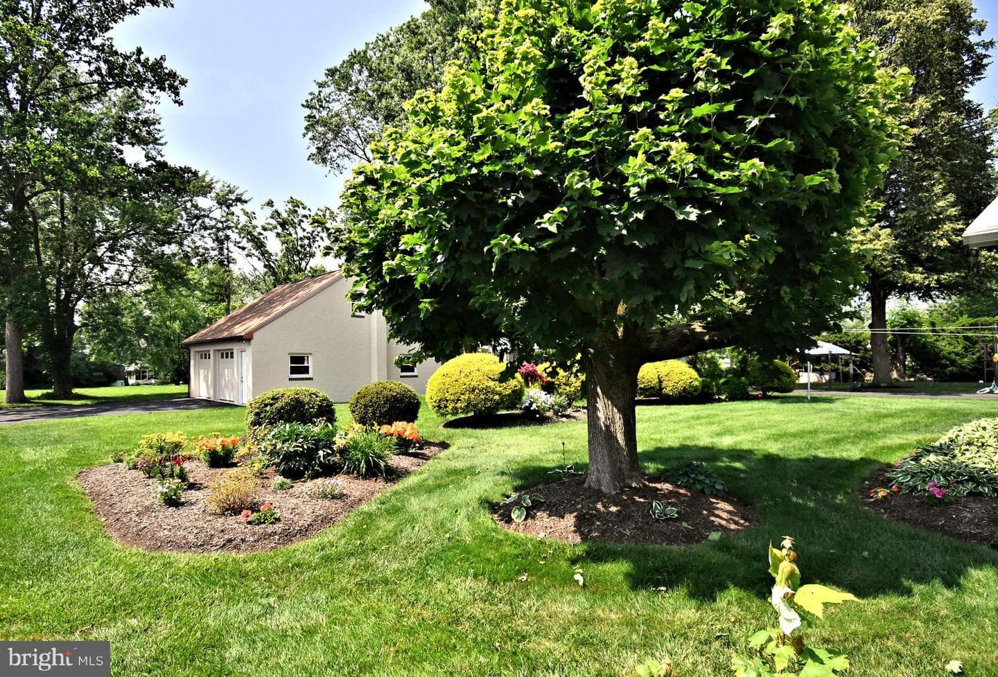 227 Ridge Avenue photo 90