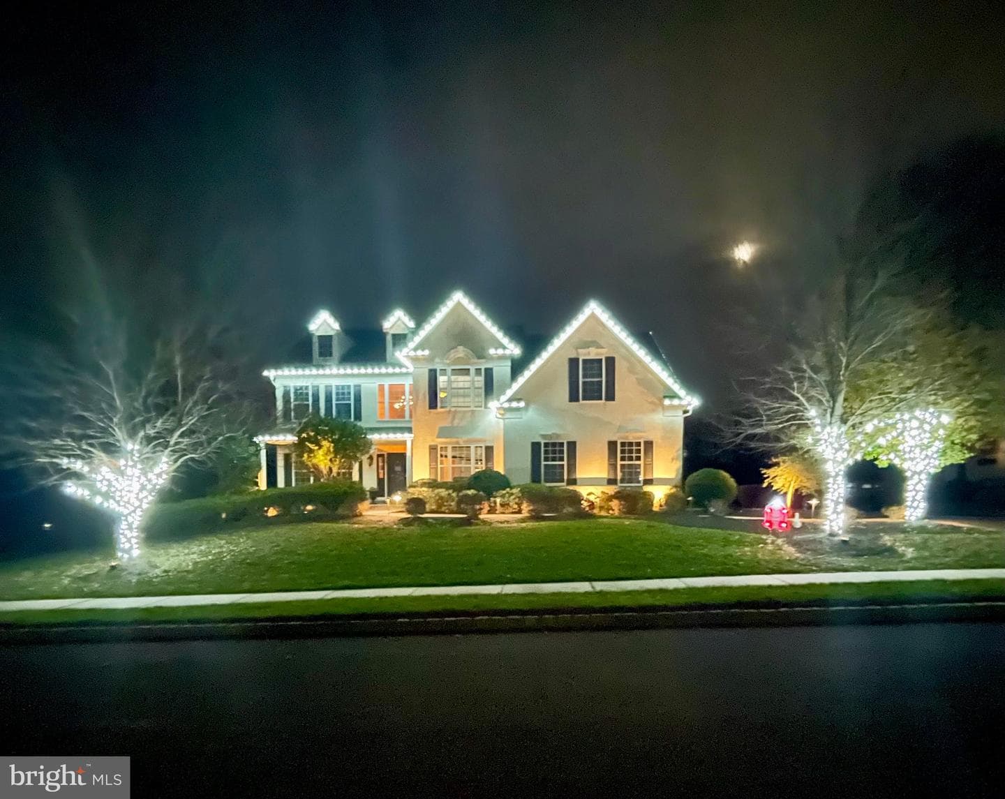 113 Steinbright Drive photo 52