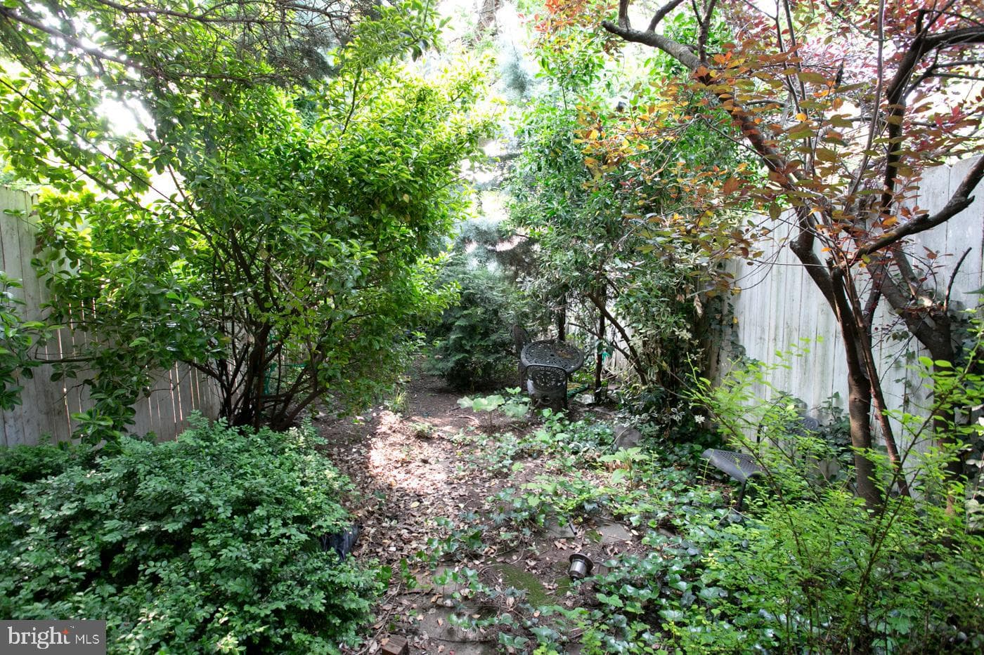 841 George Street photo 17