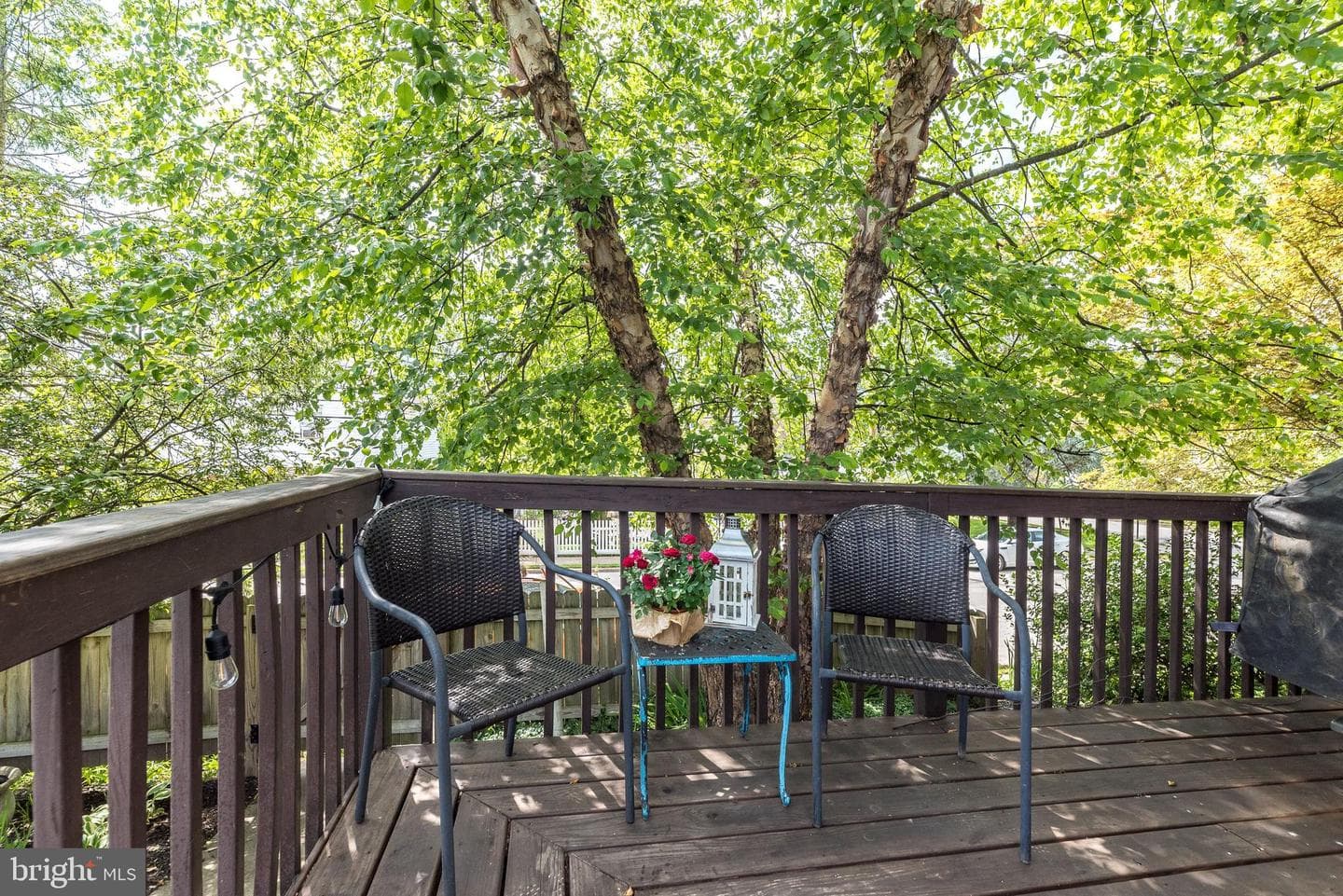 300 Mattison Avenue photo 26