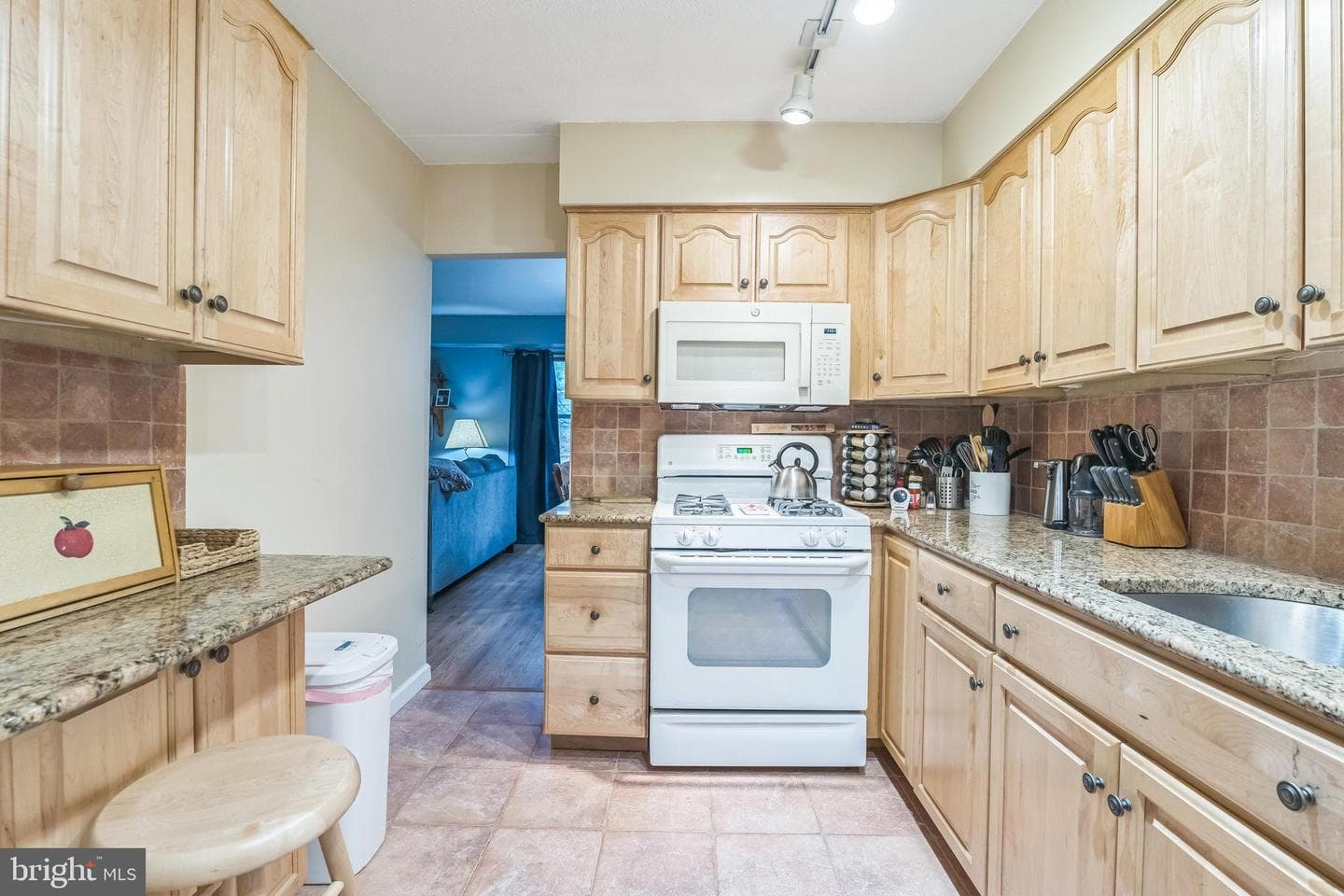 501 N Bethlehem Pike #14-Q photo 13