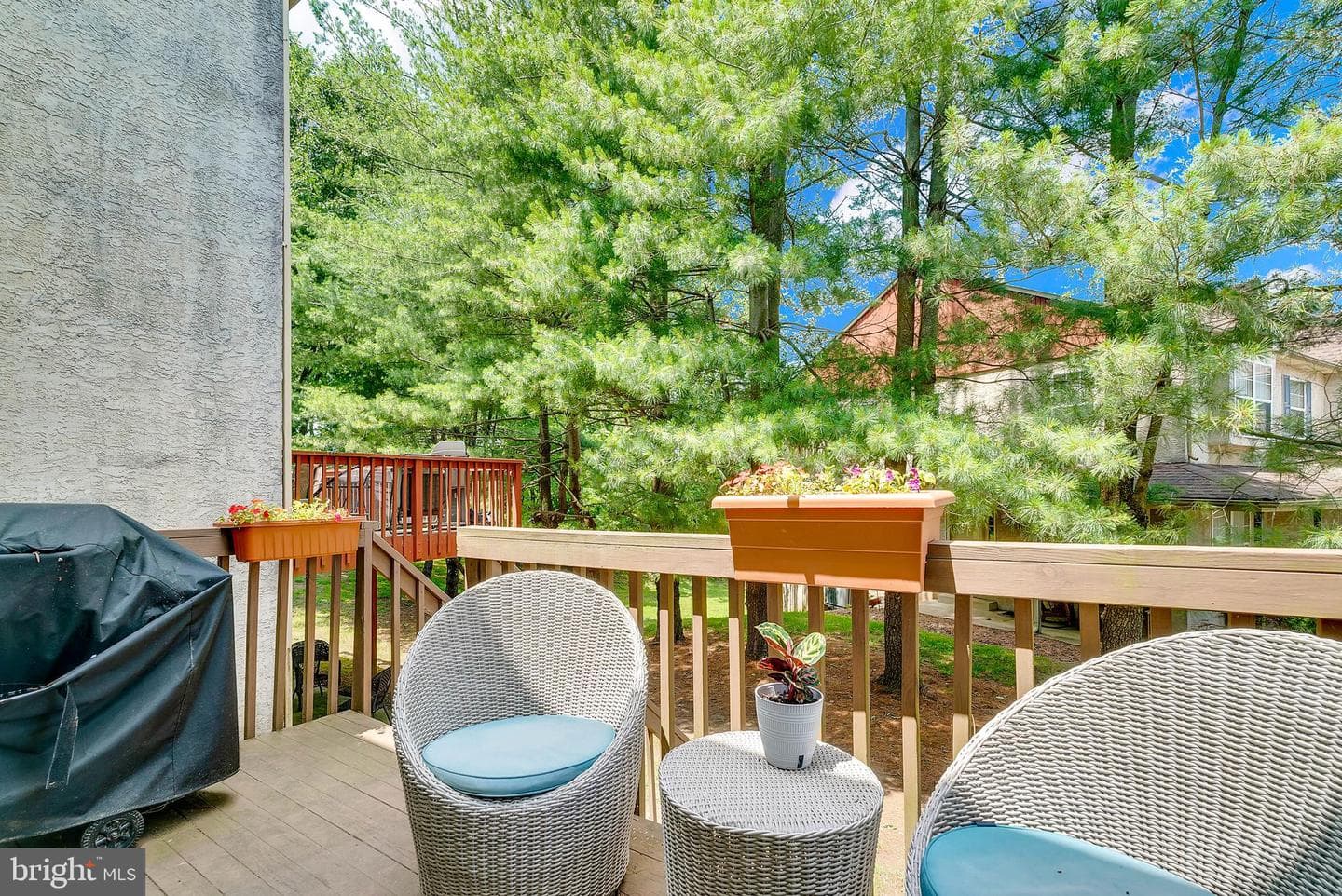 21 Viburnum Court photo 28