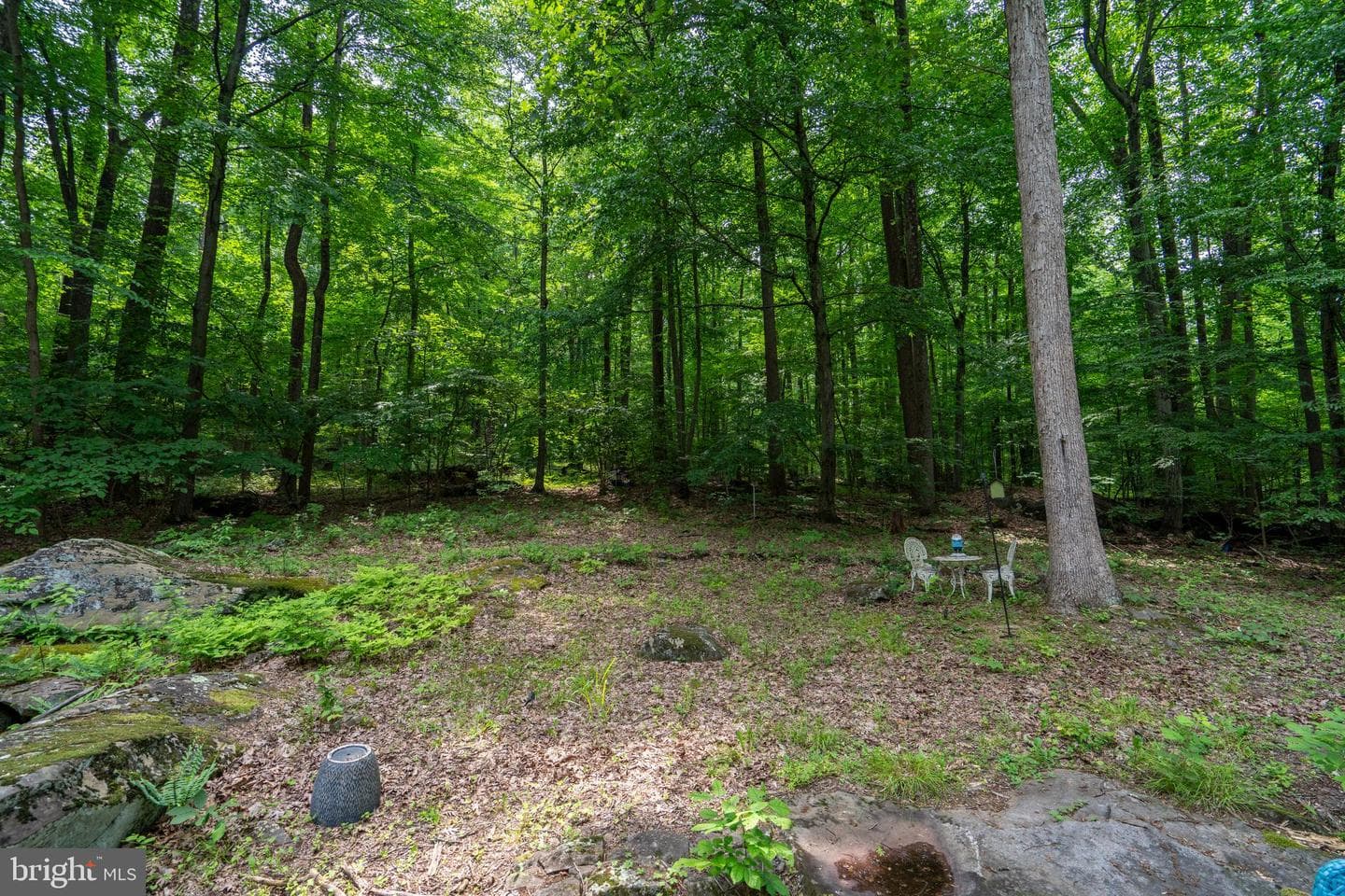 284 Whites Mill Road photo 51