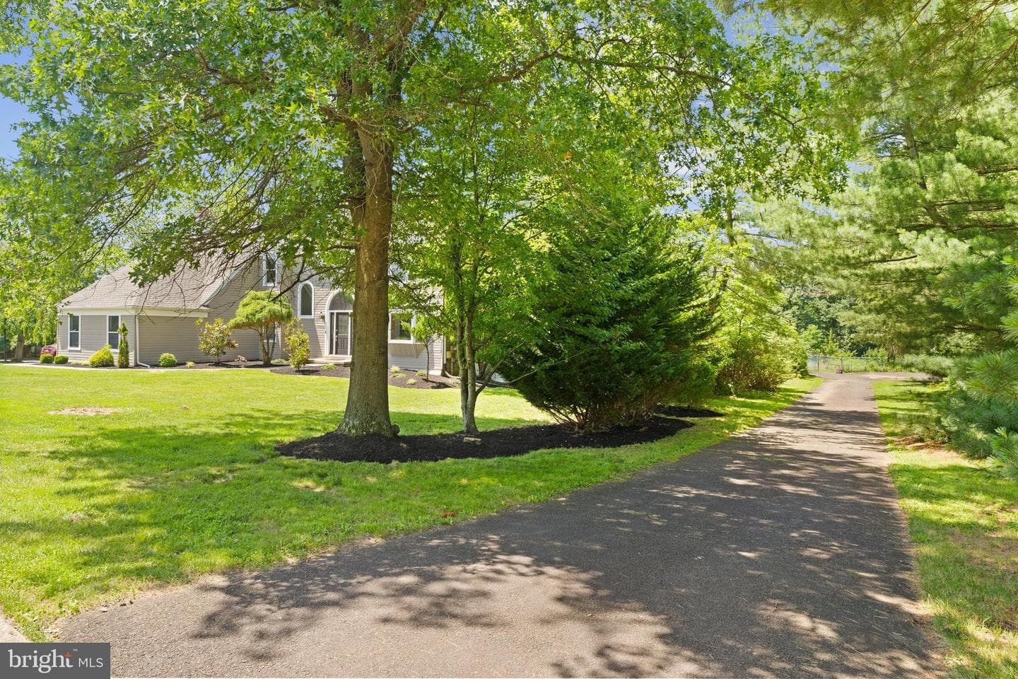 113 Rose Twig Lane photo 5